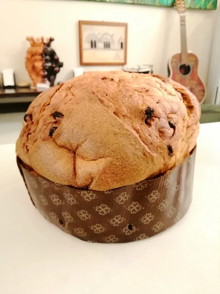 Panettone classico con buccia d’arancia da 1 Kg